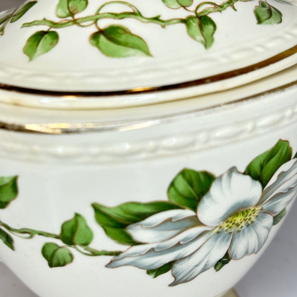 Homer Laughlin Georgian Eggshell Cotillion Magnolia Pattern Sugar Bowl and Lid - Picture 10 of 14